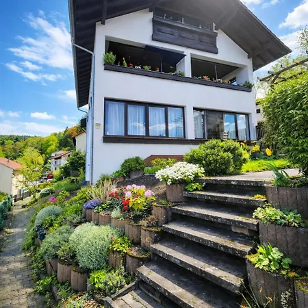 Apartman Ferienwohnung Wald-Michelbach